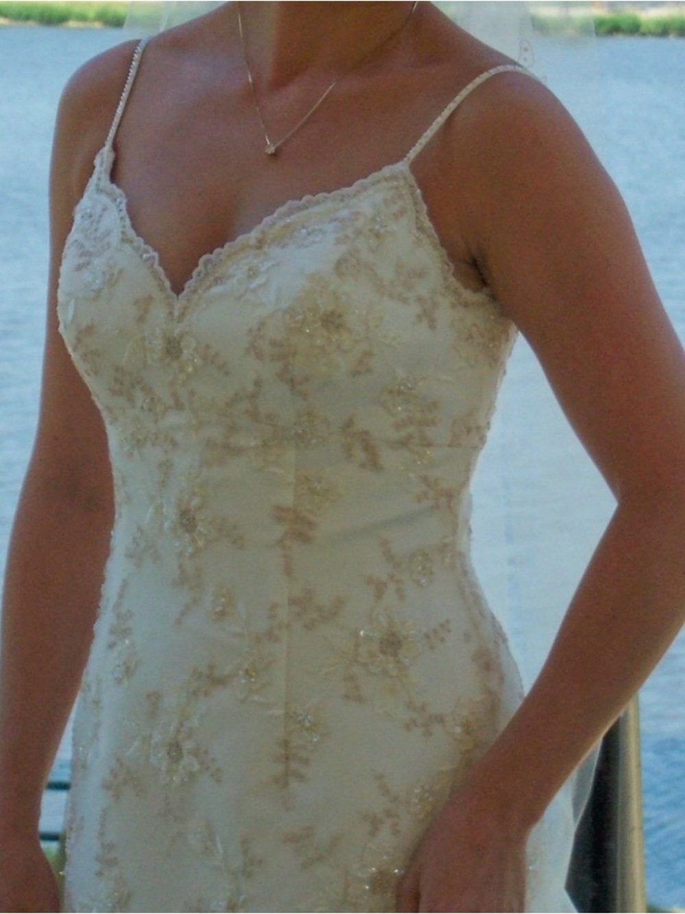 Beautiful Oleg Cassini Floral Beaded Dress